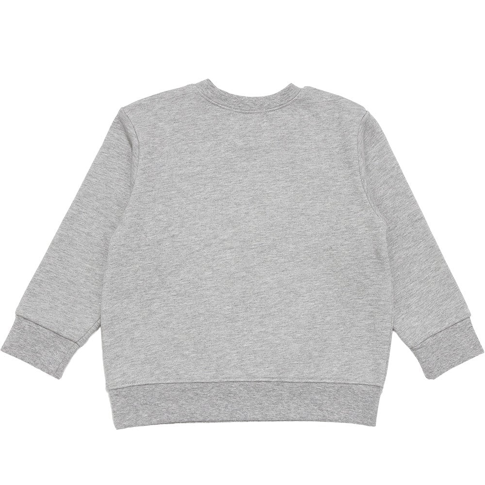 飛行機 カラフル 恐竜 ワッペン 刺繍 乗り物 裏毛トレーナー Misty Gray back