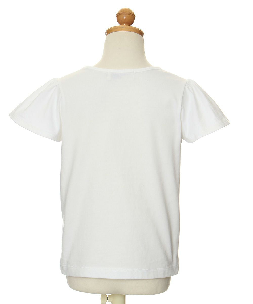 100 % cotton seashell print T -shirt Off White torso