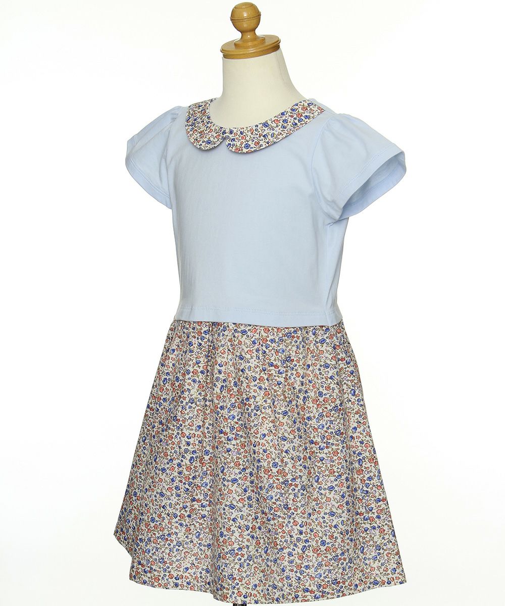 Children's clothing girl collar floral pattern docking dress blue (61) torso