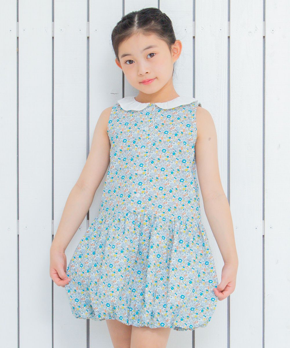 100 % cotton handwritten style floral pattern dress with collar Blue model image up