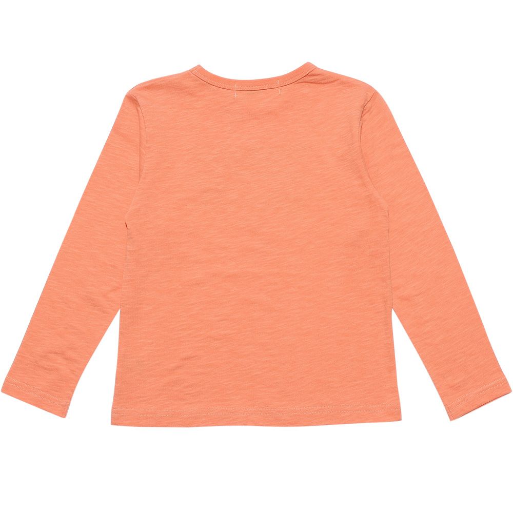 Children's clothing boy 100 % Cotton Series Train Print T -shirt Orange (07) back