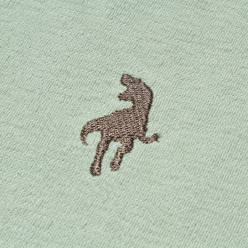 100 % cotton Animal series with dinosaur embroidery loose T -shirt Green Design point 1