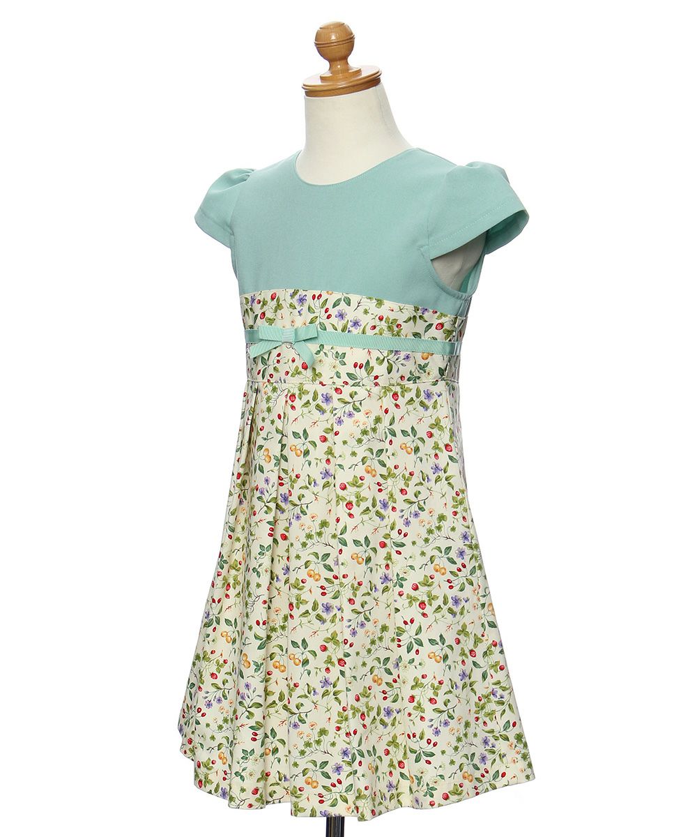A floral dress dress with a ribbon made in Japan Green torso