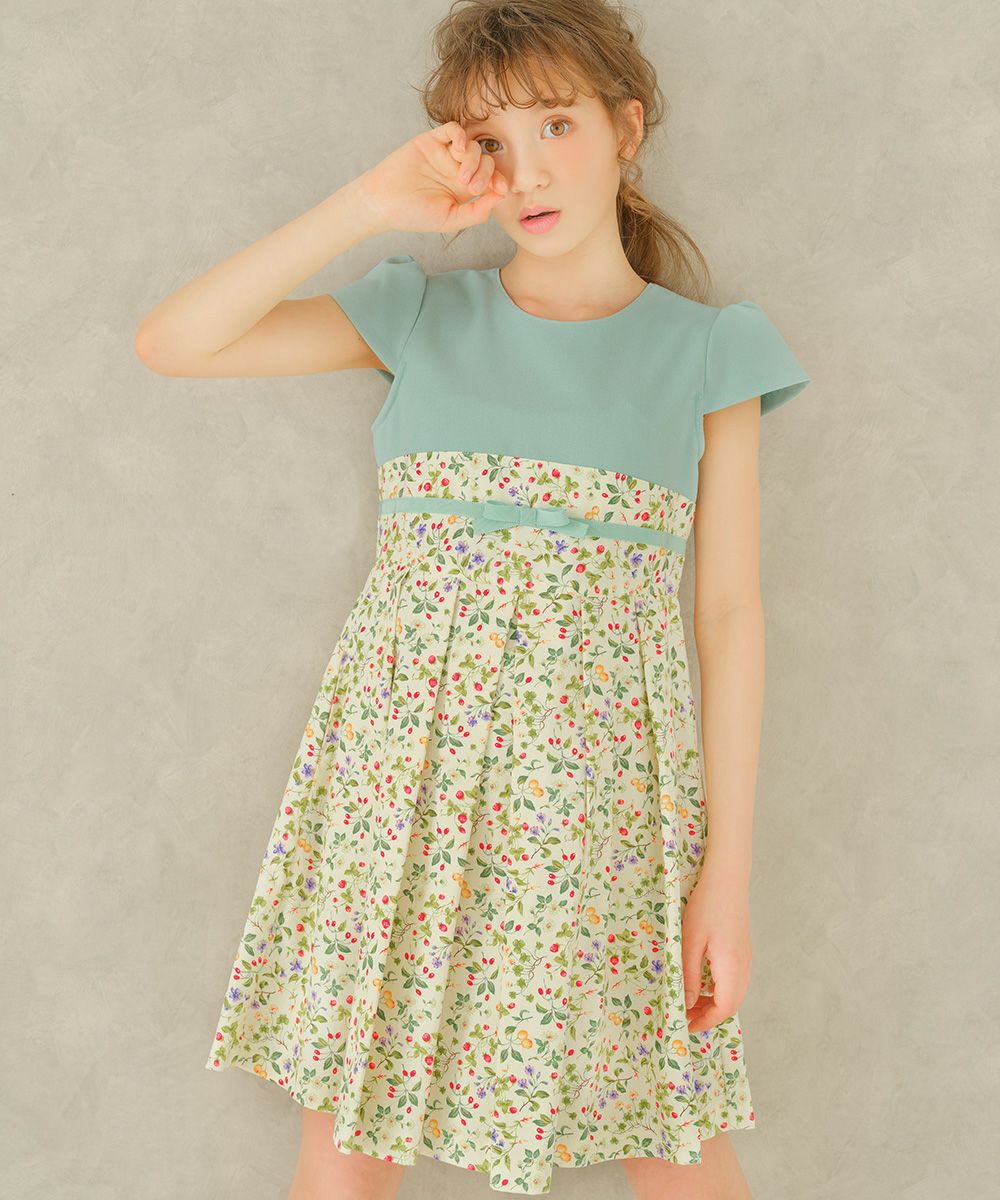 A floral dress dress with a ribbon made in Japan Green model image up