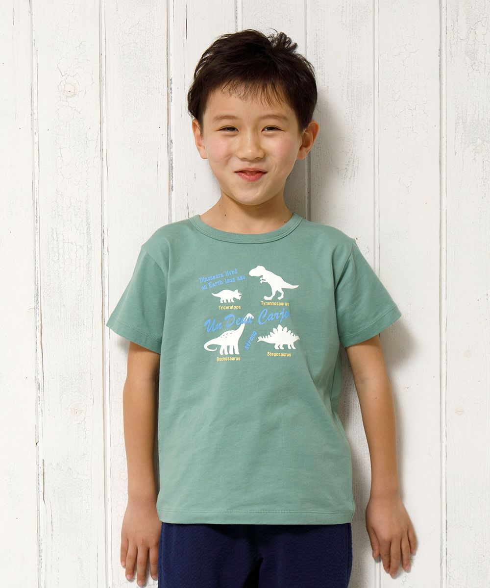 100 % cotton animal series Dinosaur print T -shirt Green model image up