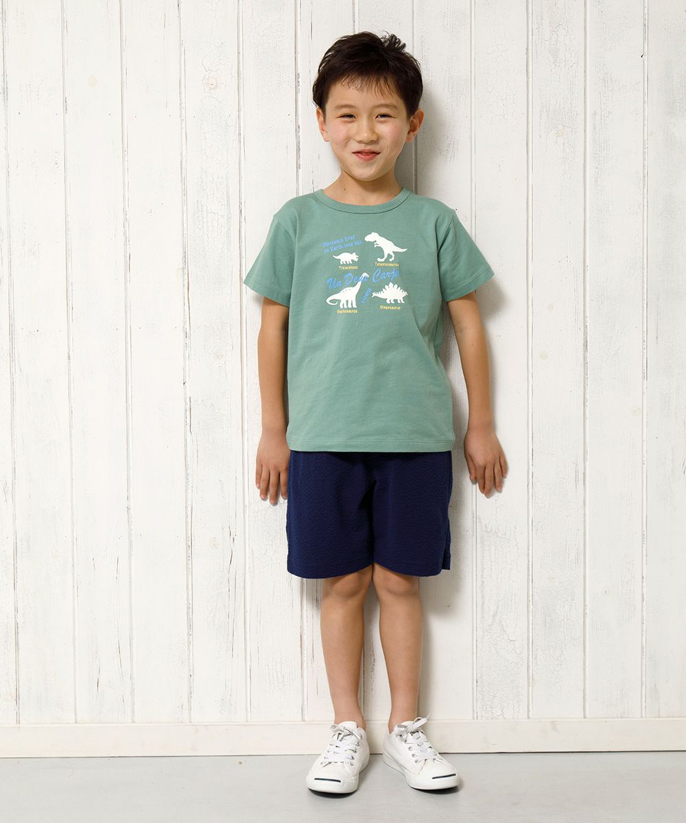 100 % cotton animal series Dinosaur print T -shirt Green model image whole body
