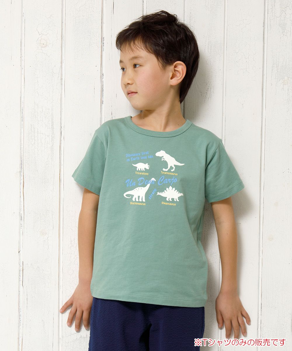 100 % cotton animal series Dinosaur print T -shirt Green model image 1