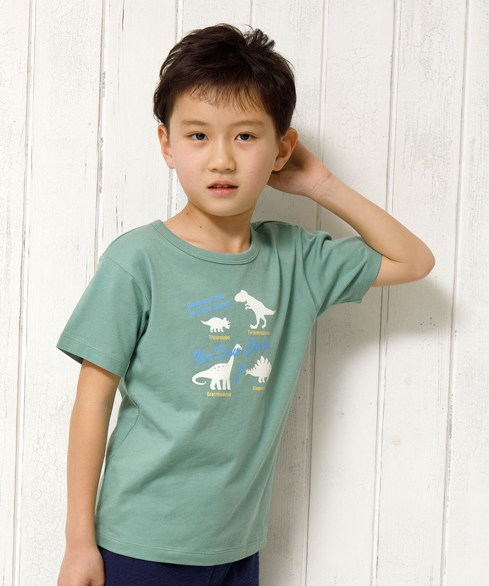 100 % cotton animal series Dinosaur print T -shirt Green model image 3