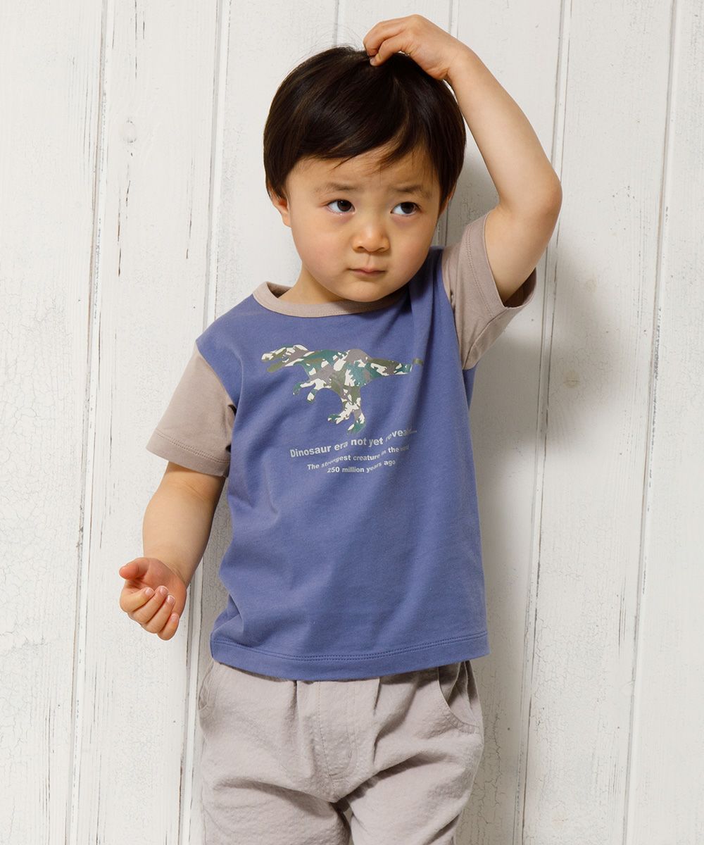 Baby size 100 % cotton camouflage dinosaur print animal series T -shirt Purple model image 3