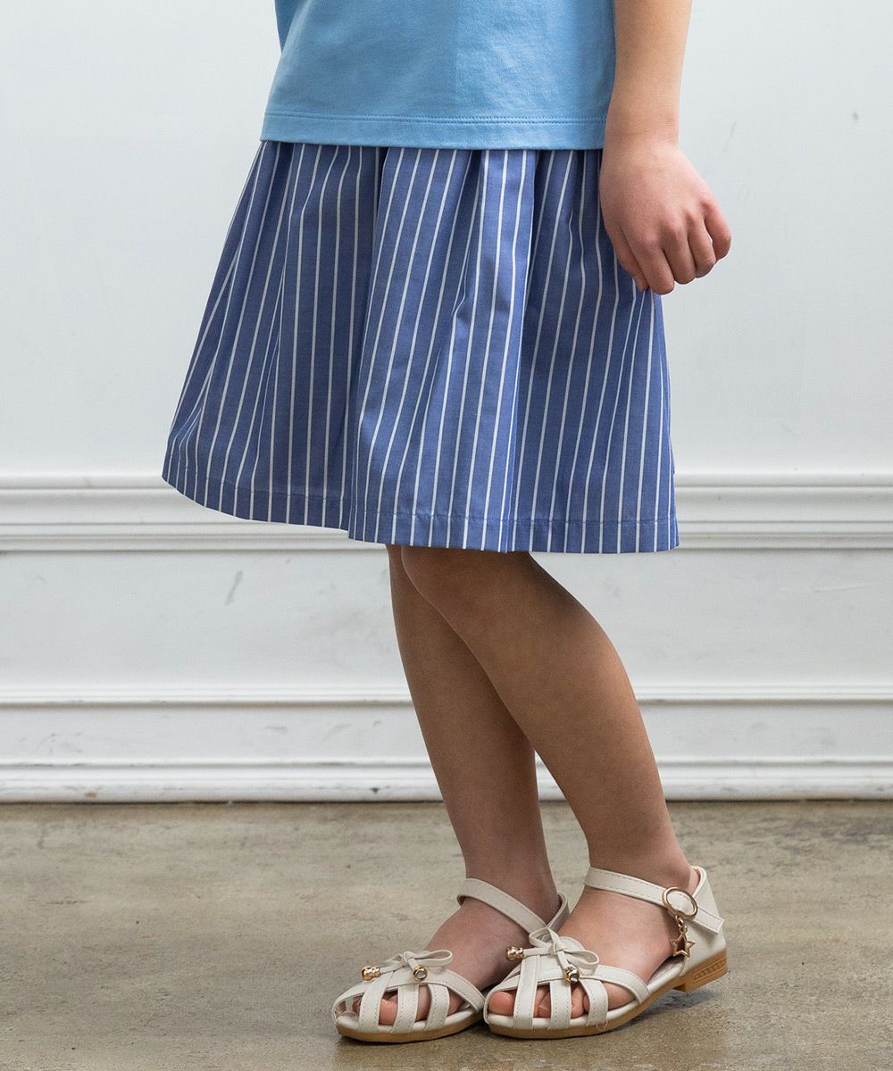 Striped pattern flare skirt  MainImage