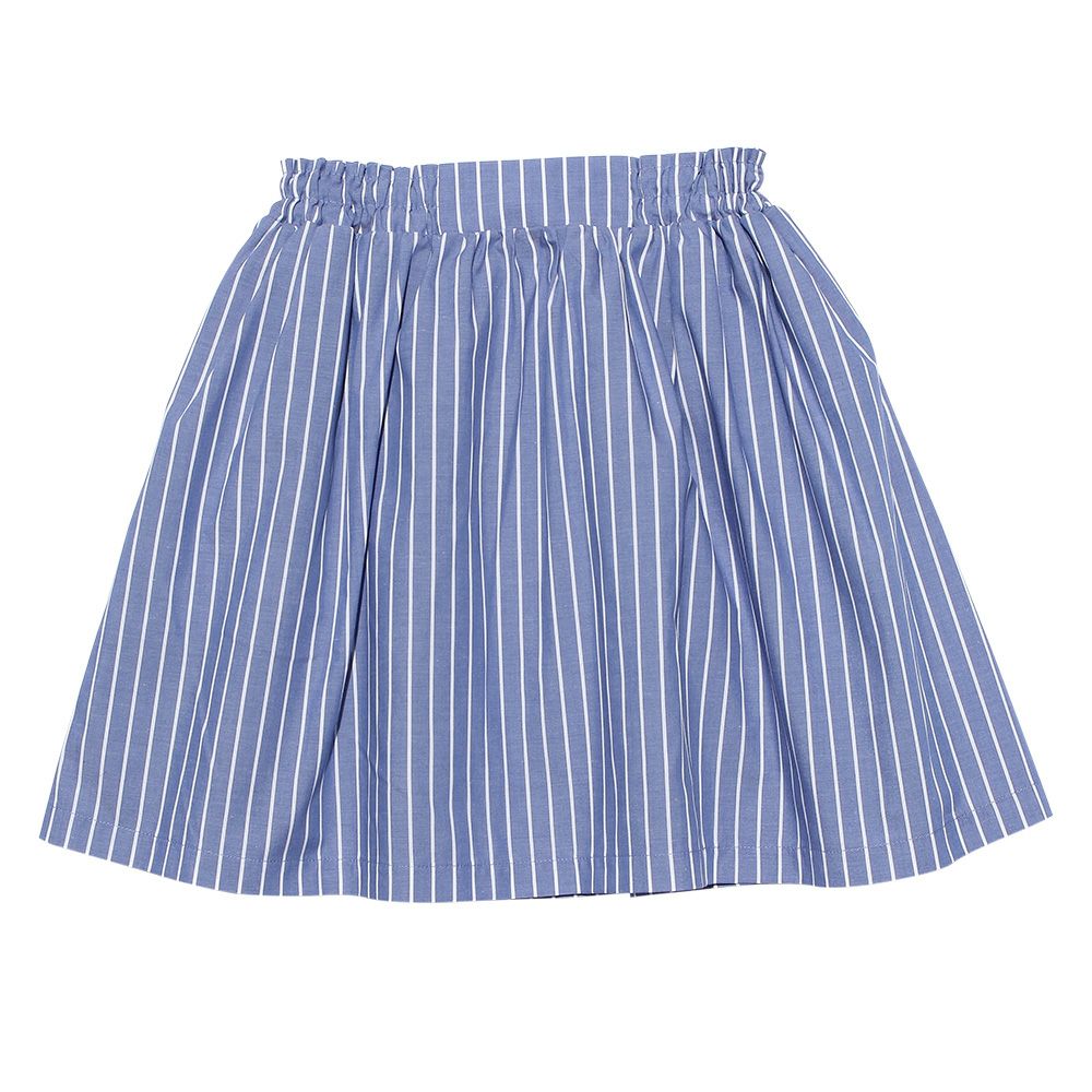 Striped pattern flare skirt Navy front