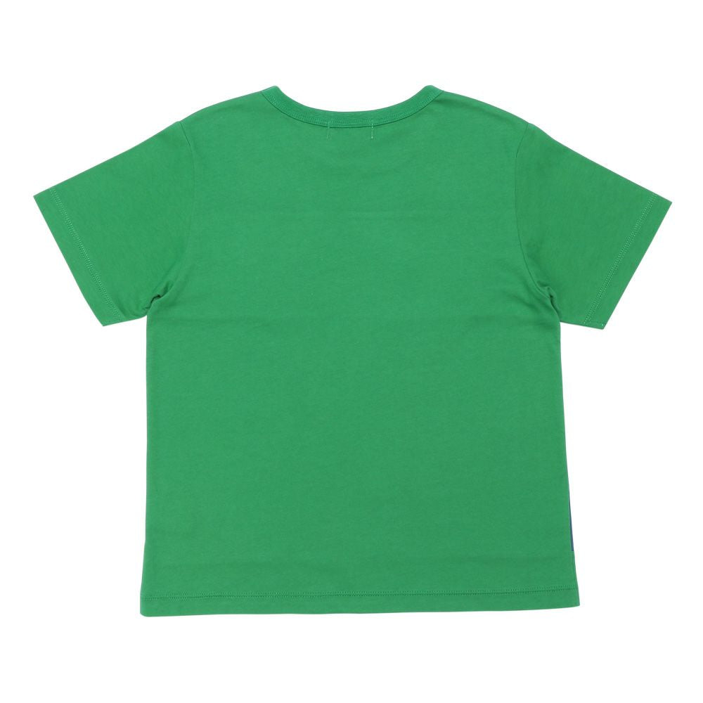 綿100％ ボーダー  刺繍 ワッペン Tシャツ Green back